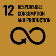 SDG number 12 : Responsible consumption and production