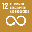 SDG number 12 : Responsible consumption and production